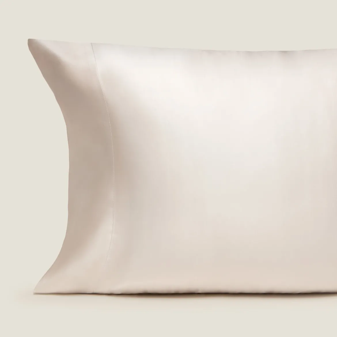 Funda de almohada seda y algodón satén 300 hilos Silkcot