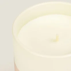 Vela rosa silvestre Vela
